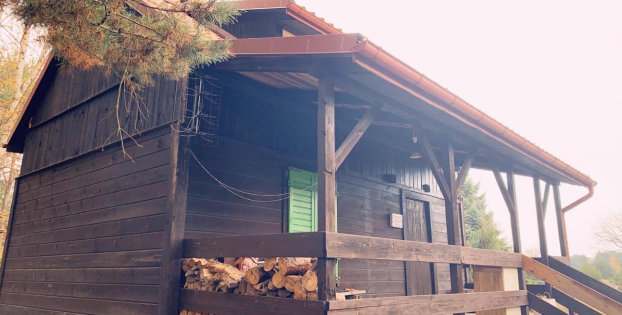 Dom Pod Sosnami Villa Rzewnie ภายนอก รูปภาพ